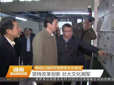 蔡振红调研宣传思想文化单位 坚持改革创新 壮大文化湘军