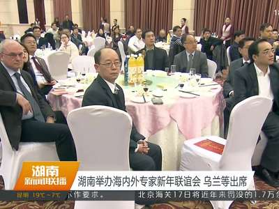 湖南举办海内外专家新年联谊会 乌兰等出席