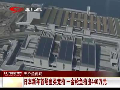 [视频]日本新年首场鱼类竞拍 一金枪鱼拍出440万元