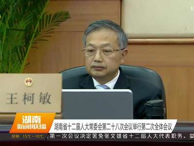 湖南省十二届人大常委会第二十八次会议举行第二次全体会议