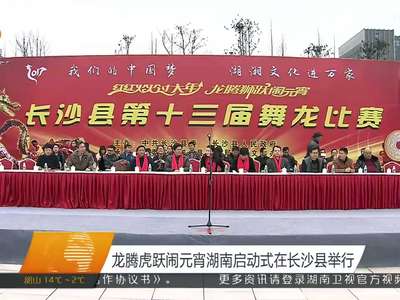 龙腾虎跃闹元宵湖南启动仪式在长沙县举行