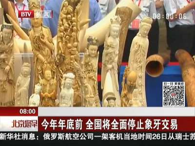 [视频]国务院发布公告2017年底前将全面停止象牙交易