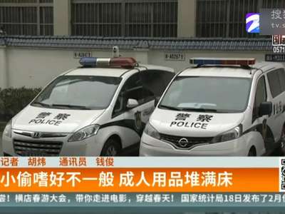 [视频]奇葩窃贼专偷成人用品赃物堆满床 被捕称：因为好奇