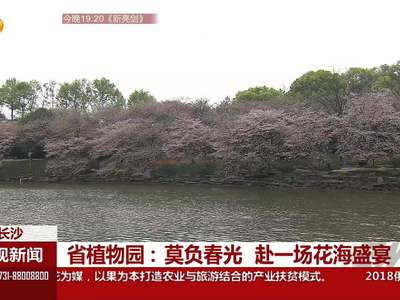 省植物园：莫负春光 赴一场花海盛宴