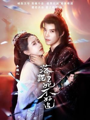 落跑王妃不好追