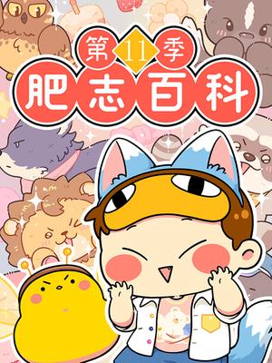 肥志百科第11季