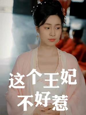 这个王妃不好惹