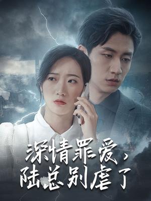 深情罪爱，陆总别虐了