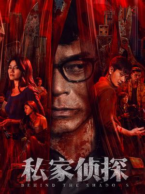 私家侦探