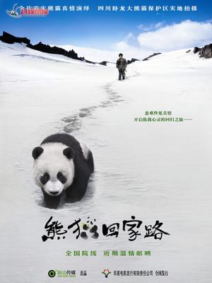 熊猫回家路