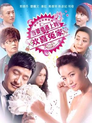 当婆婆遇上妈之欢喜冤家未删减版