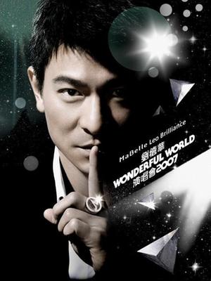 刘德华wonderful world世界巡回演唱会