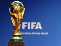 FIFA盼中国办世界杯