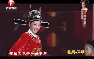 2012安徽卫视春晚:韩再芬《谁料皇榜中状元》