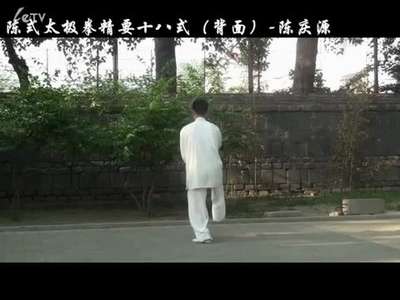 陈式太极拳精要18式背面演示-陈庆源图片_陈式