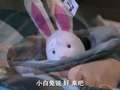 后厨12