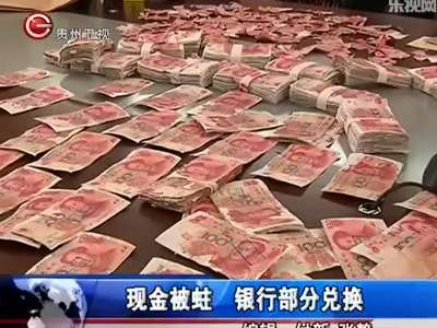 老人将40万现金藏家里被白蚁蛀烂