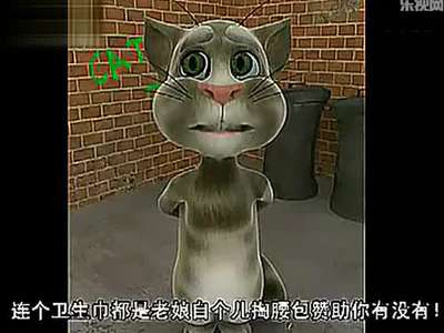 会说话的汤姆猫