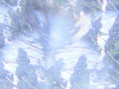 阿黛尔皇家艾伯特大厅演唱会(字幕版)