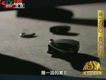 档案九一八大案