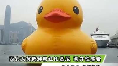 叫神马视院_叫神马影视网大黄号_叫神马大黄号_神马 ...
