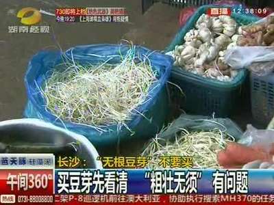 长沙：“无根豆芽”不要买