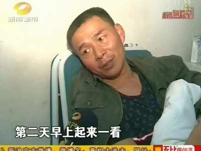 47岁男子处理杂草 突遭蝮蛇咬伤