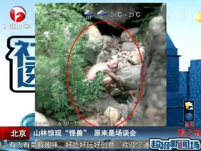 [视频]北京山林现大耳怪兽系演员穿道具服被拍