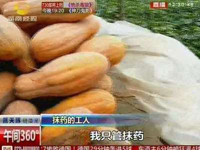 警惕农药催熟“毒南瓜”流入餐桌