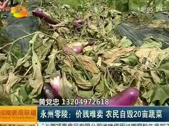 永州零陵：价贱难卖 农民自毁20亩蔬菜