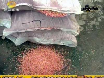 阻击浏阳含毒包衣种子流入大米市场