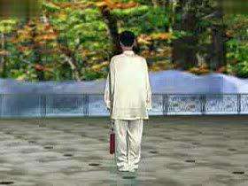 陈思坦32式太极剑(背面)完整演练