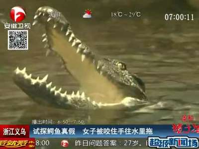  [视频]实拍女子为试探鳄鱼真假 伸手遭一口咬住