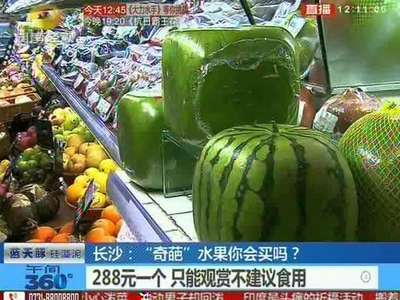 方形西瓜现身星城 吸引眼球常被拍