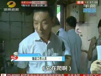 长沙：太邋遢 老梅园大虾城被关停