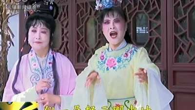 越剧《<em>天下掉下个林妹妹</em>》选段_百度影视