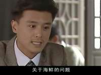 风雨唐人街 6集