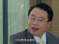 美妙的奇遇 12集