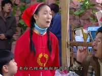 桂花打工记 100集