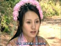 有情鸳鸯无情剑 22集