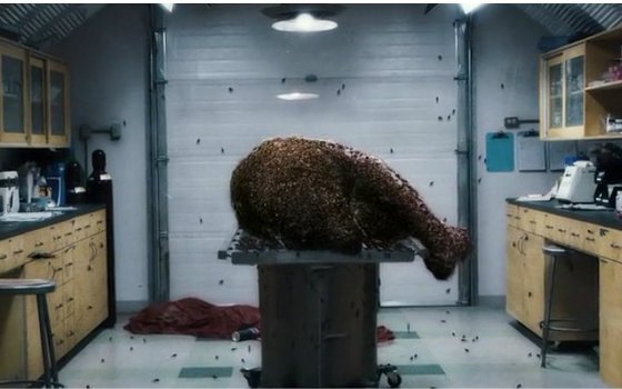 解冻 密密麻麻的虫子在你体内寄生  电影  2009年 来源: b站