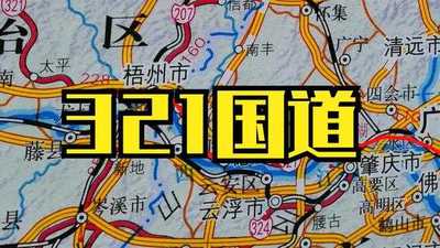 新321国道全程线路图图片