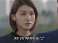 再见布莱克先生 10集