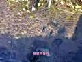 野王大坤户外之丛林探险家 8集