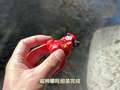 三哥超会玩之欢乐冒险 19集