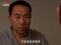 杨光的爱情故事 30集